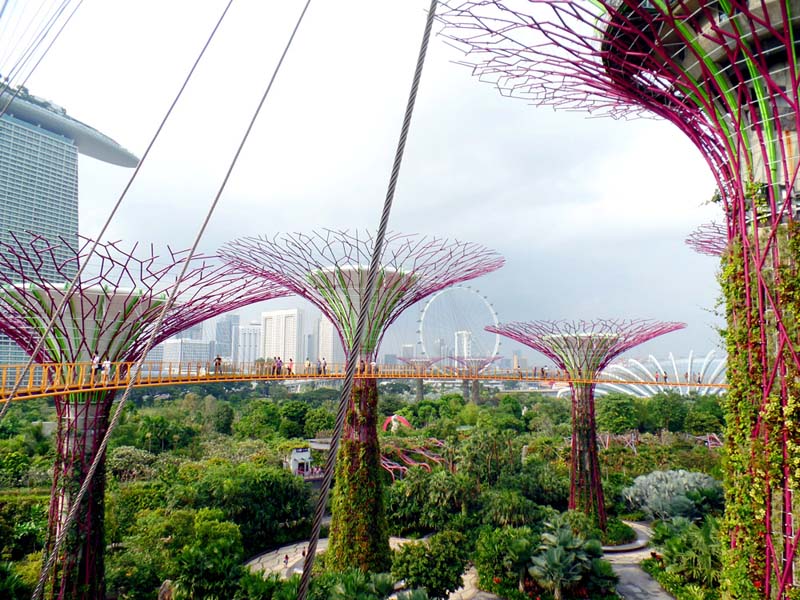 ওসিবিসি স্কাইওয়াক (OCBC Skywalk)