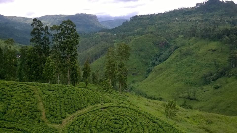 ছবিঃ শ্রীলংকার প্রাকৃতিক সৌন্দর্য্য