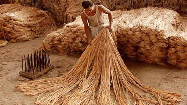 বস্ত্র-পাটে বরাদ্দ বাড়ছে ২০ কোটি টাকা