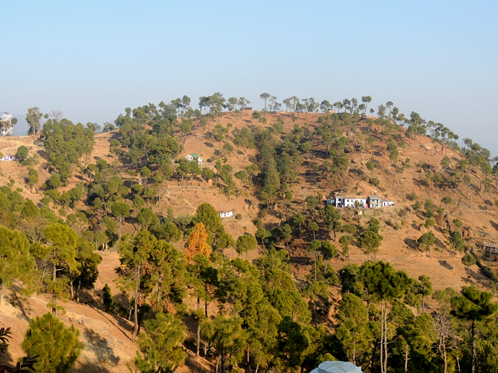 ছবিঃ হিমালয় কন্যা ধওলছিনা